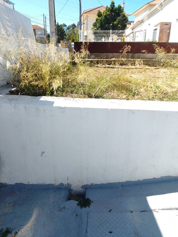 Canteiro elevado com vegetação seca, antes da obra